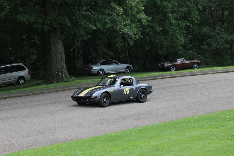 (I think this is a lotus)
